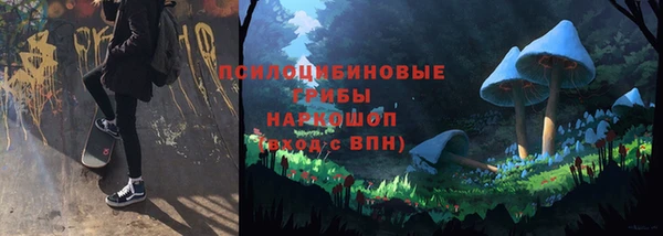 PSILOCYBIN Алексеевка