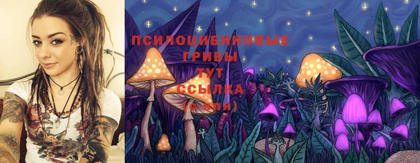 ALPHA PVP Михайловск