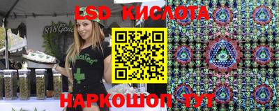 стафф Кудрово