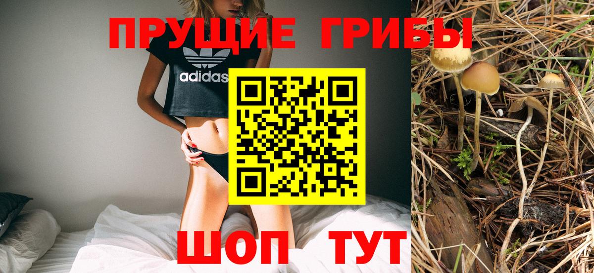 Находка  Псилоцибиновые грибы Magic Shrooms  Вход с VPN 