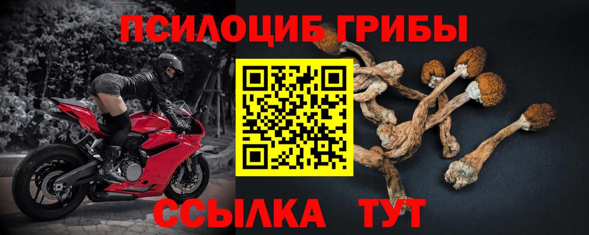 Галлюциногенные грибы Cubensis Находка